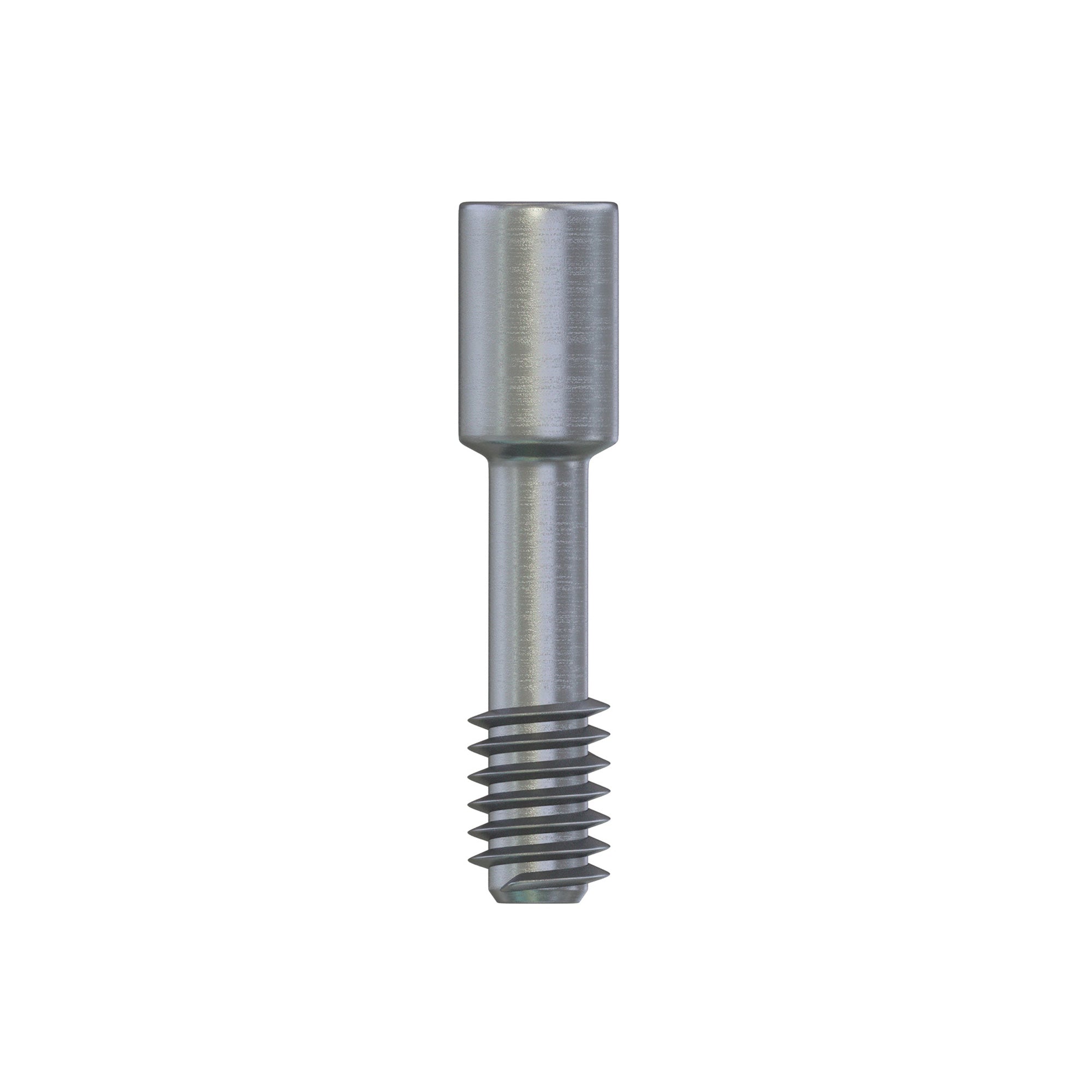 Abutment Fixation Screw CC RP