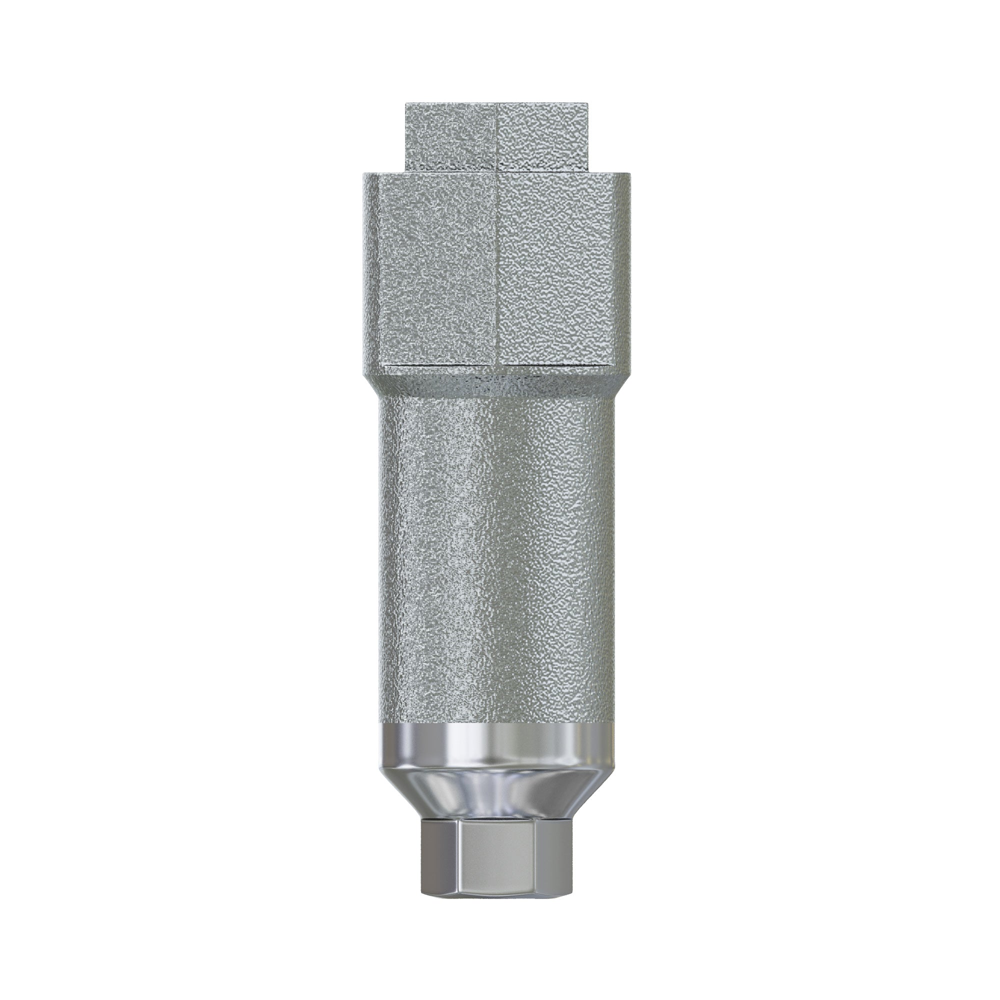 Titanium Scan Post Implant-level