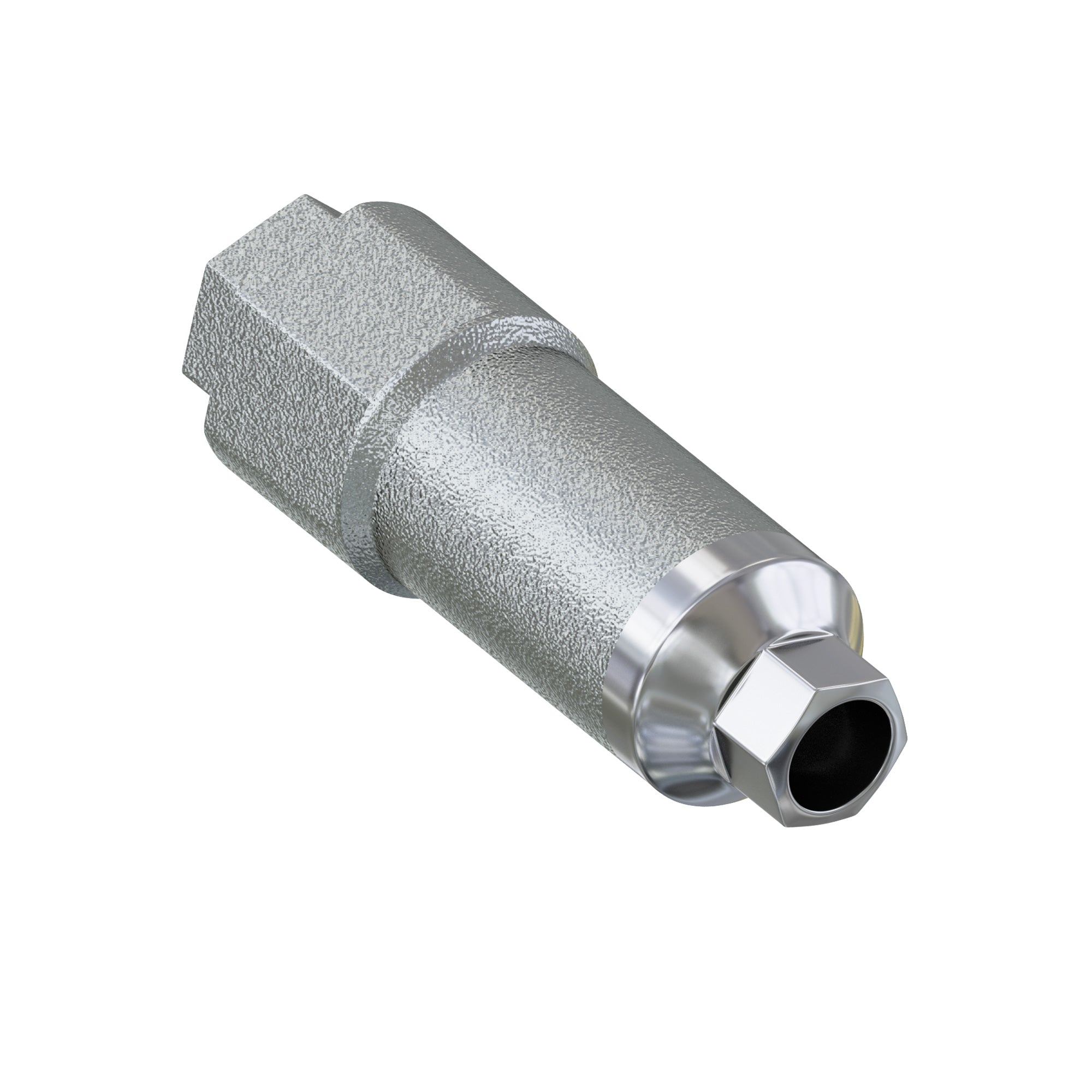 Titanium Scan Post Implant-level