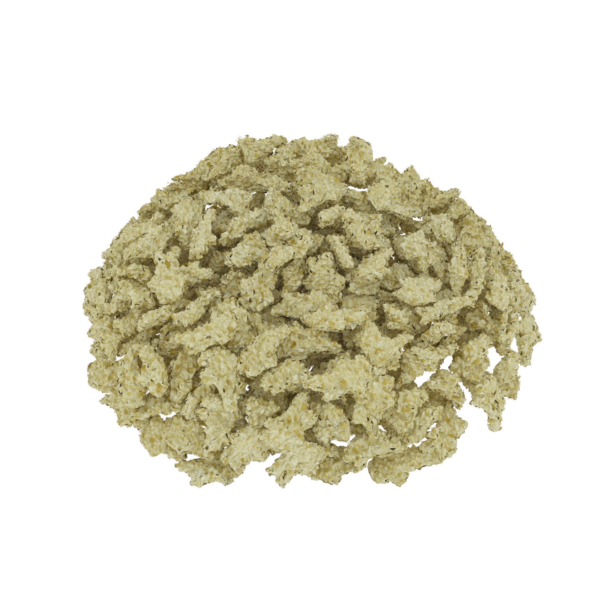 DSI Zenoss Bovine Natural Bone Graft Chips