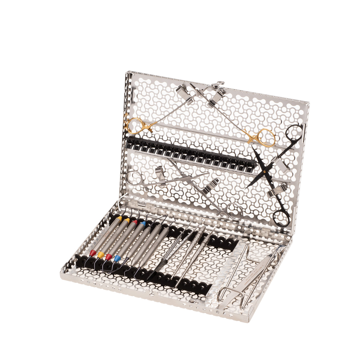 Berutti Pasqualini Microsurgical Endodontic Kit