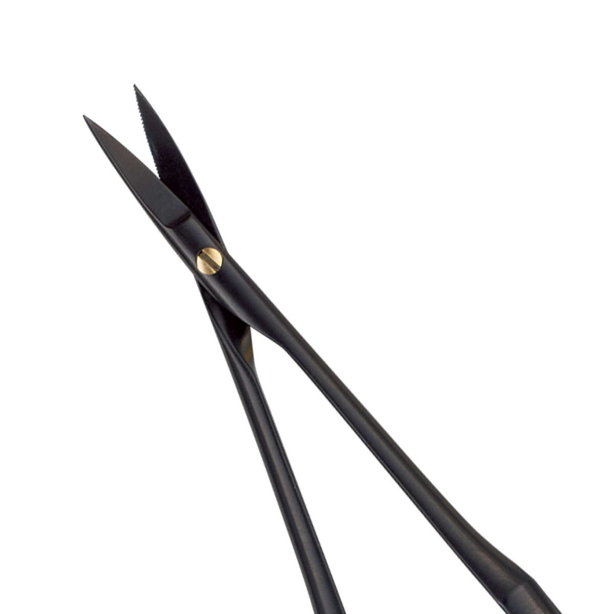 Castroviejo Microsurgical Scissors, Black Line