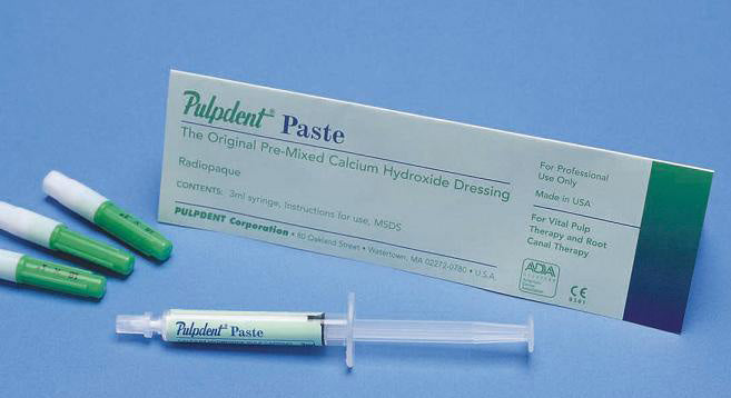 Pulpdent Paste Kit: 3 Ml Syringe + 24 Needles (18 Gauge Blunt, Sterile)