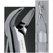 Forcep 23- Serrated - Premier Dental