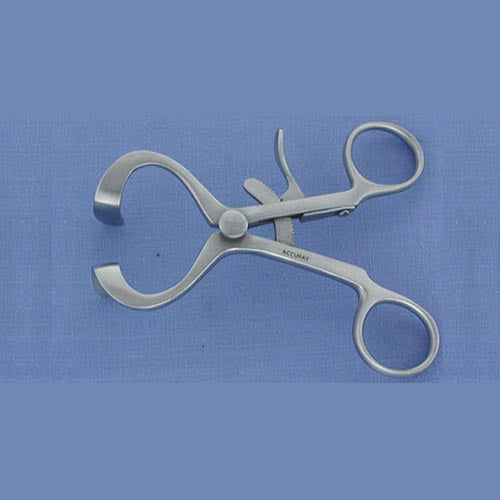 Molt Mouth Gag With Rubber Tips / Adult