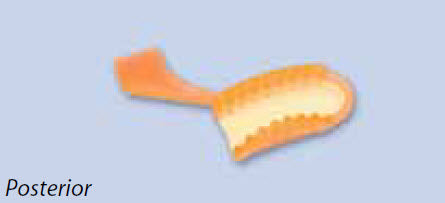 Neo Trays - Posterior 48/Bx