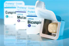 Protemp Crown Lower Large Molar Shells Refill, Pack of 5