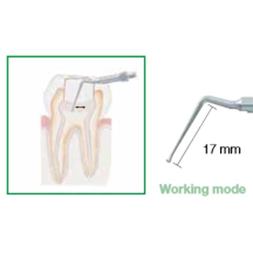 Biosonic Piezo Tips - Endodontics
