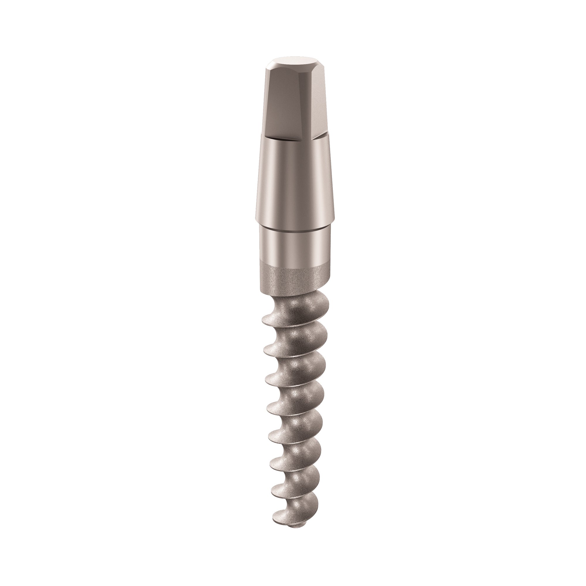 One-Piece Immediate WH Implant