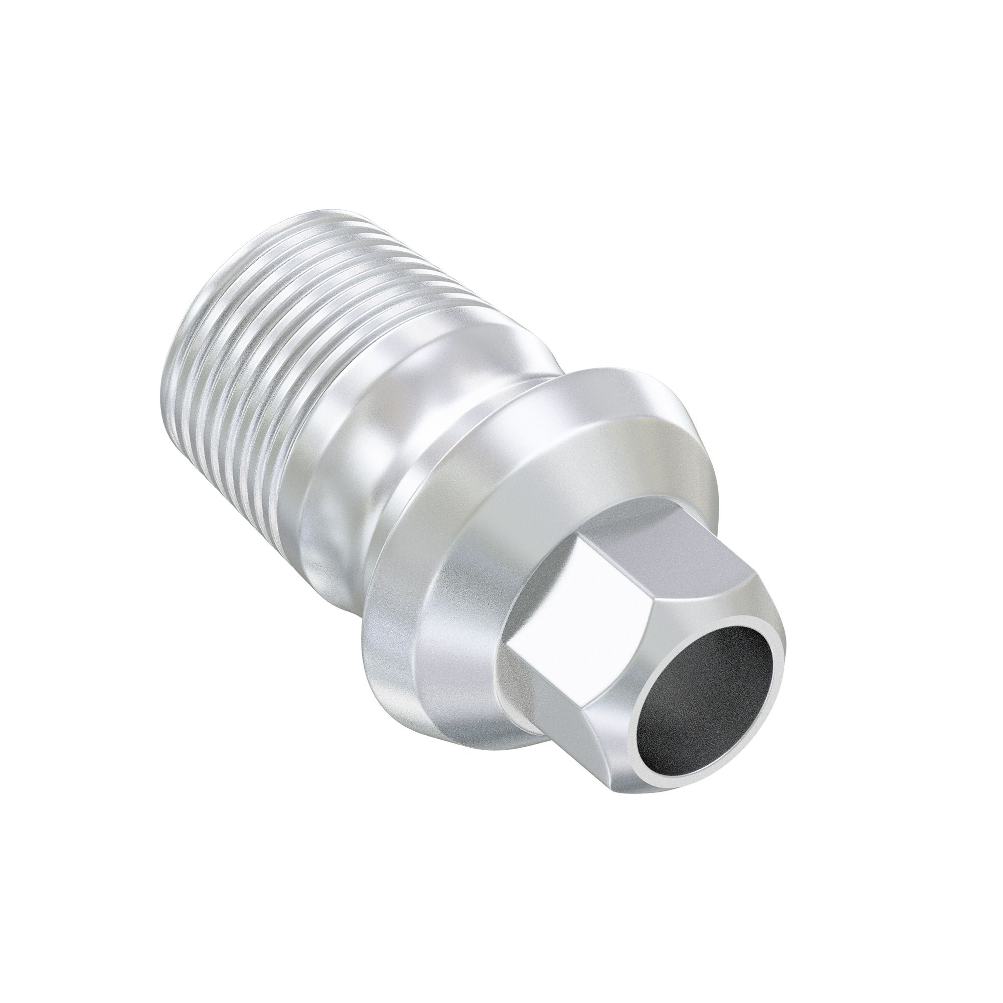 Ti-Base CAD/CAM Abutment (hexagon)