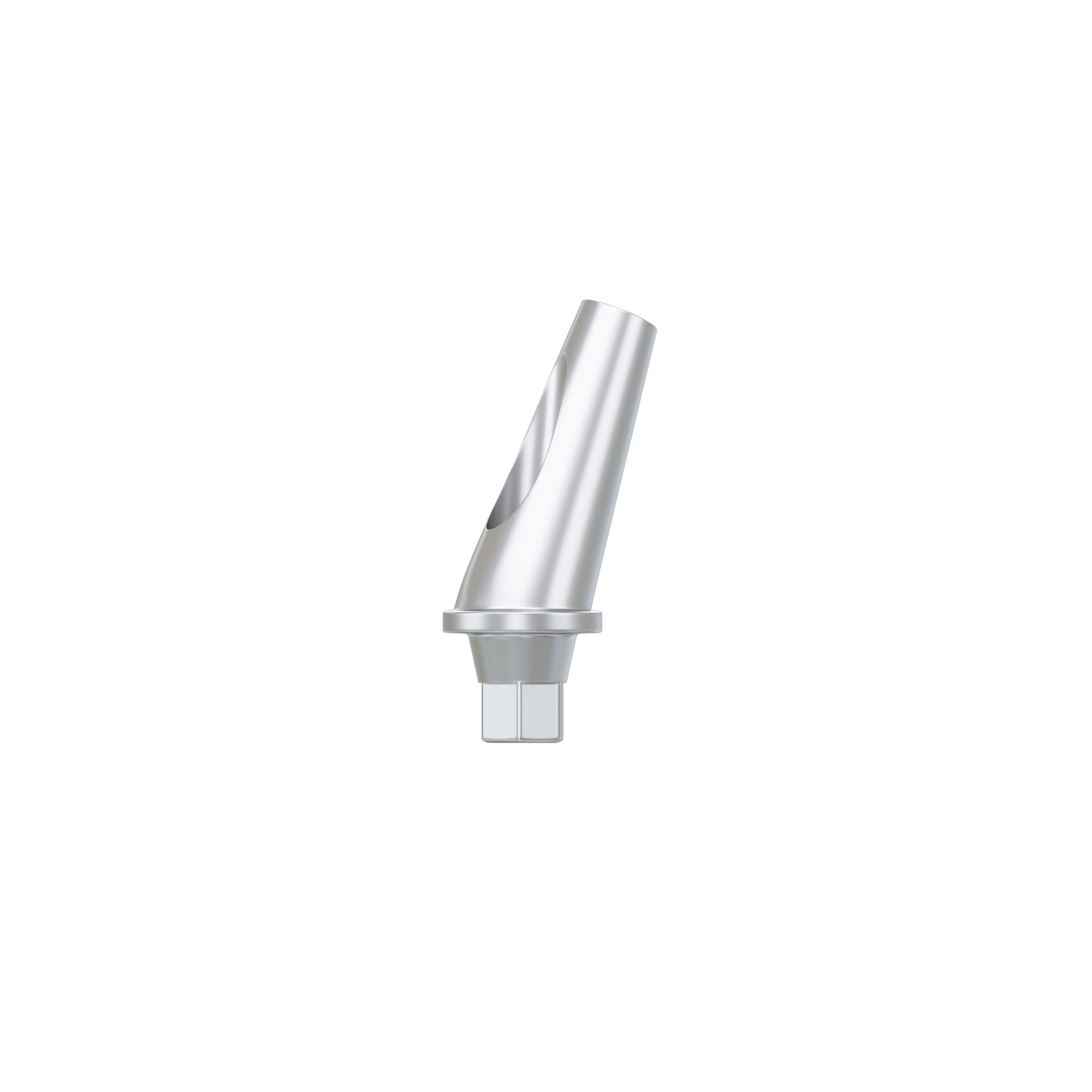 Anatomic Angulated Abutment 17°