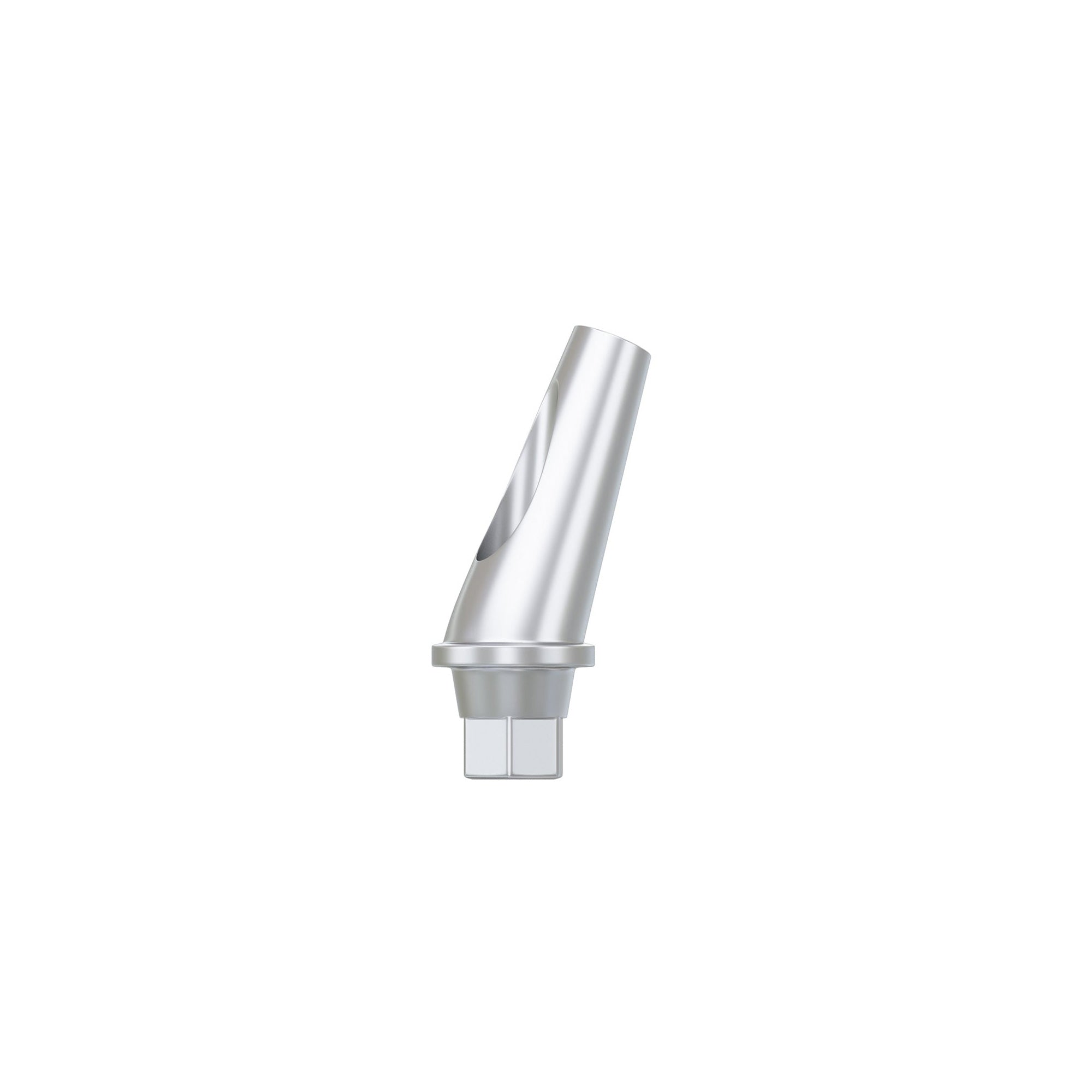 DSI Anatomic Angulated Abutment 17°