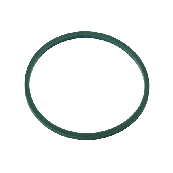 Dci 2096 - Line Strainer Gasket Only