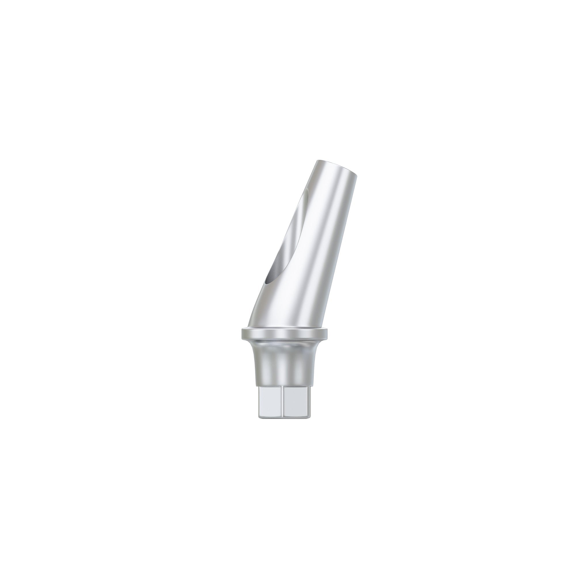 DSI Anatomic Angulated Abutment 17°
