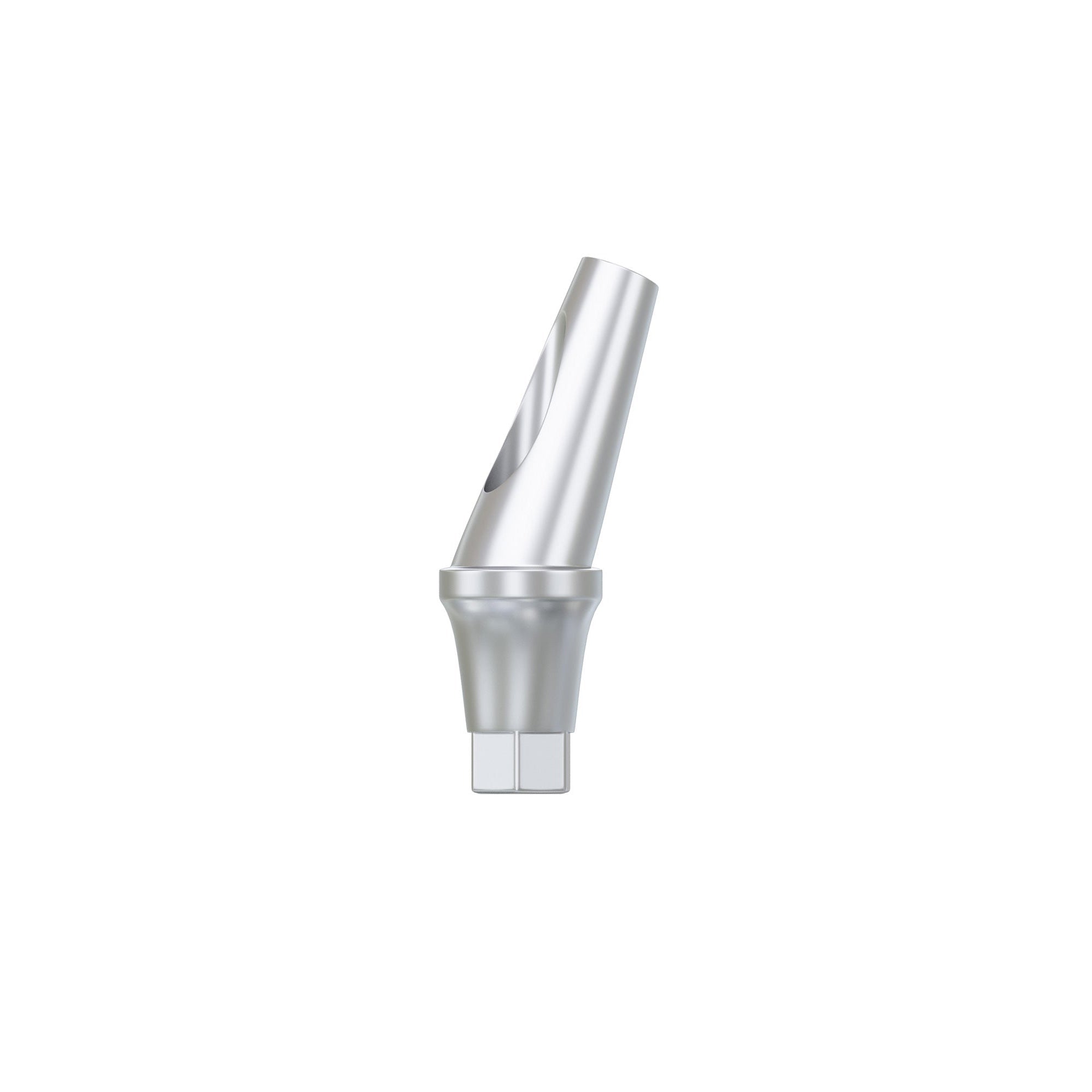 DSI Anatomic Angulated Abutment 17°