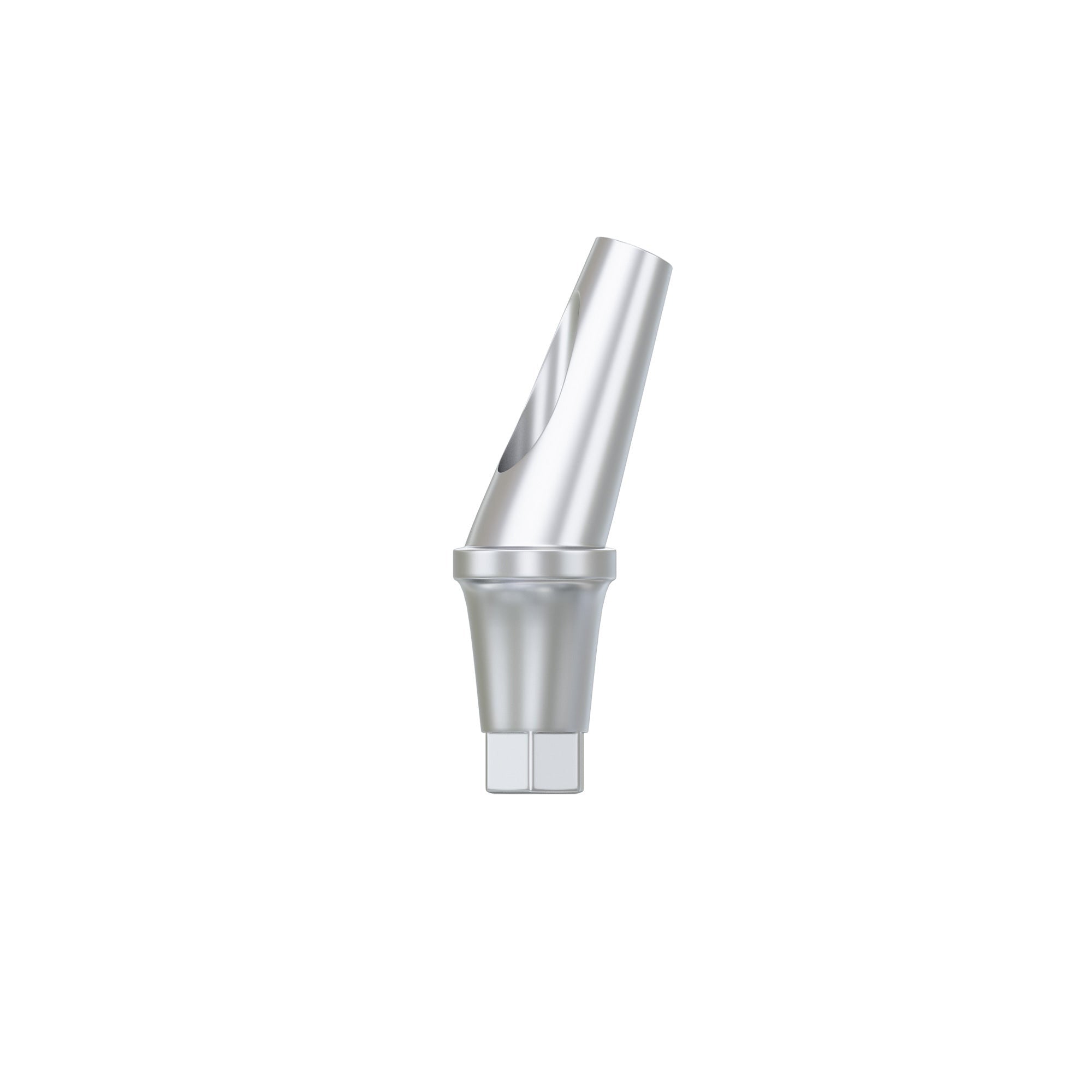 DSI Anatomic Angulated Abutment 17°