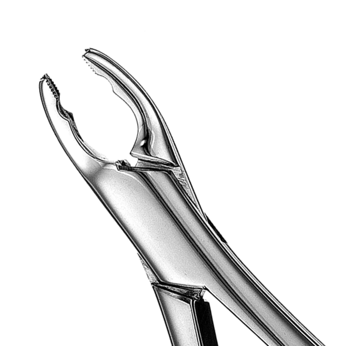 Split Beak Pedo Forceps - 150XAS, Serrated