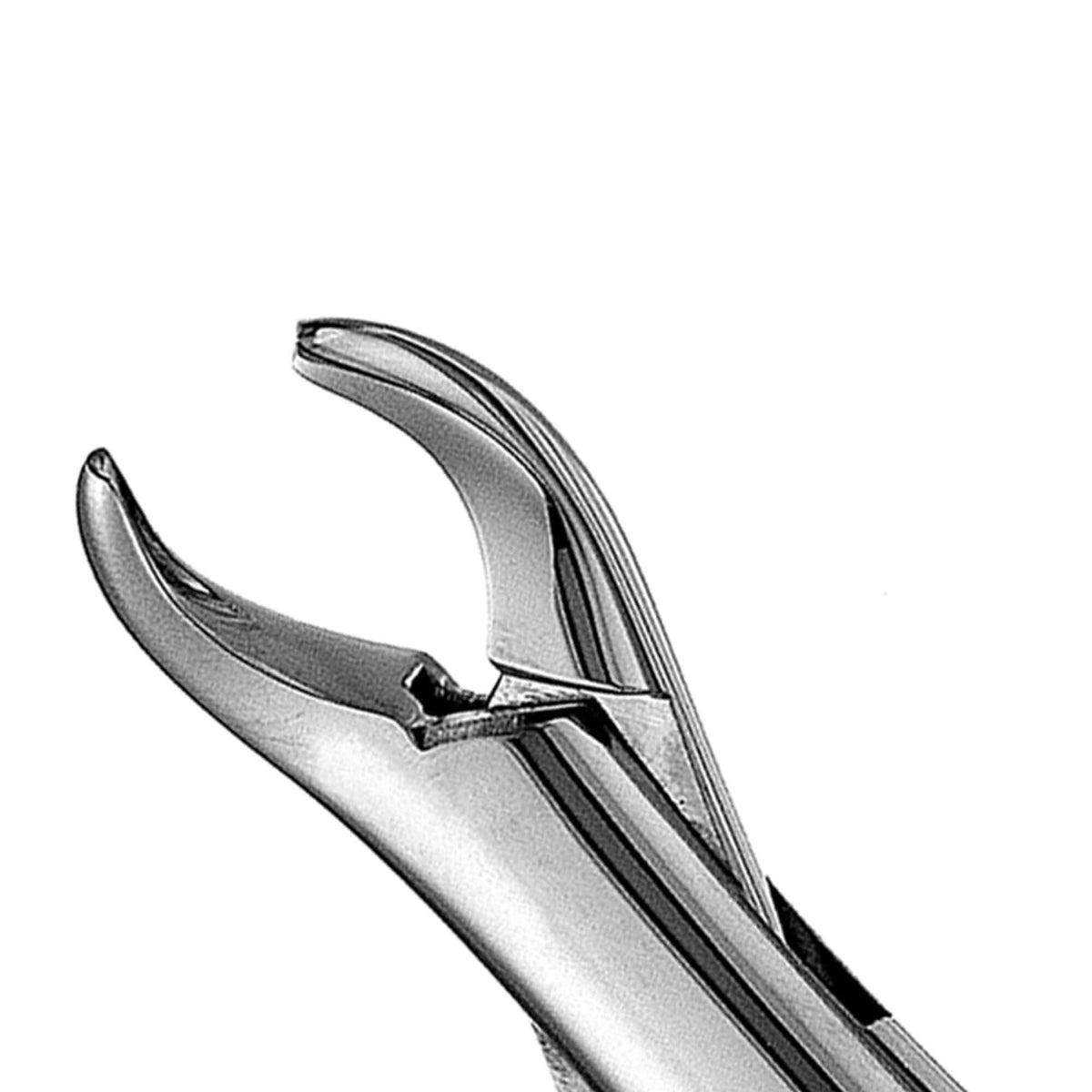 Pedo Forceps - 151K