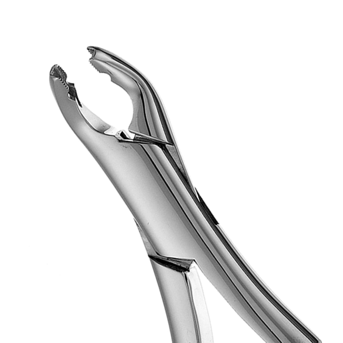 Split Beak Pedo Forceps - 151XAS, Serrated