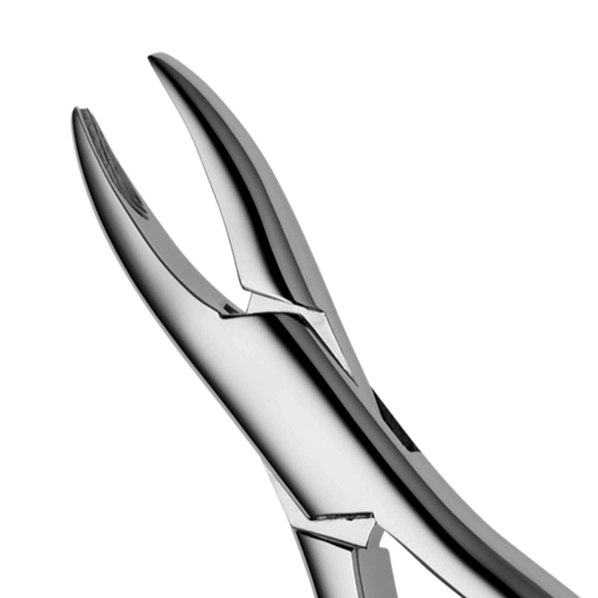 Pedo Forceps - 1 Standard