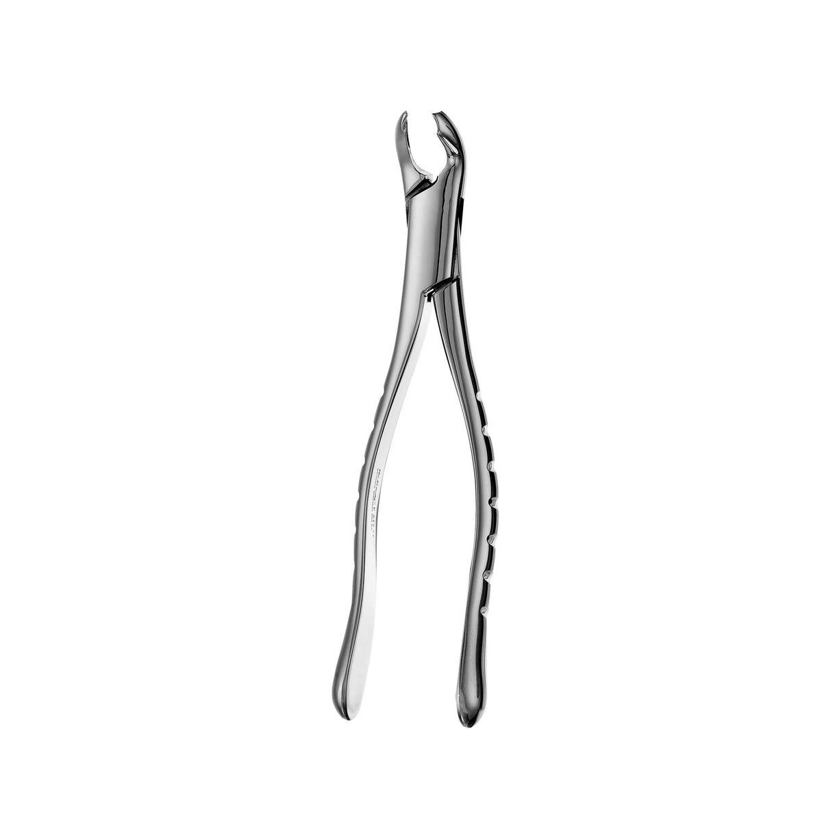 Forceps - 217