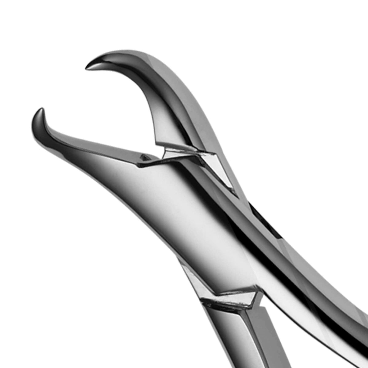 Cowhorn Pedo Forceps - 23