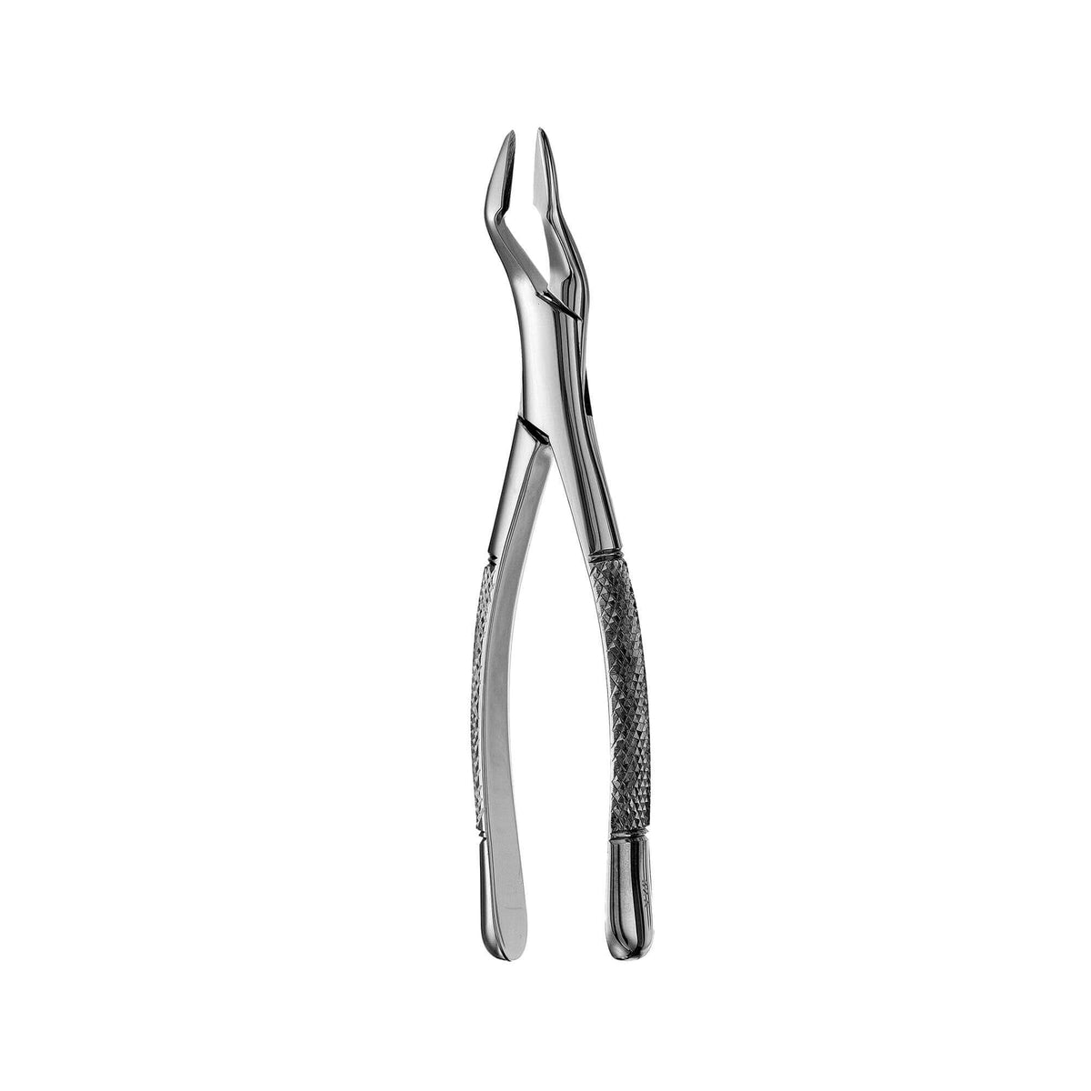 Parmly Alveolar Forceps - 32A, Slim Beaks