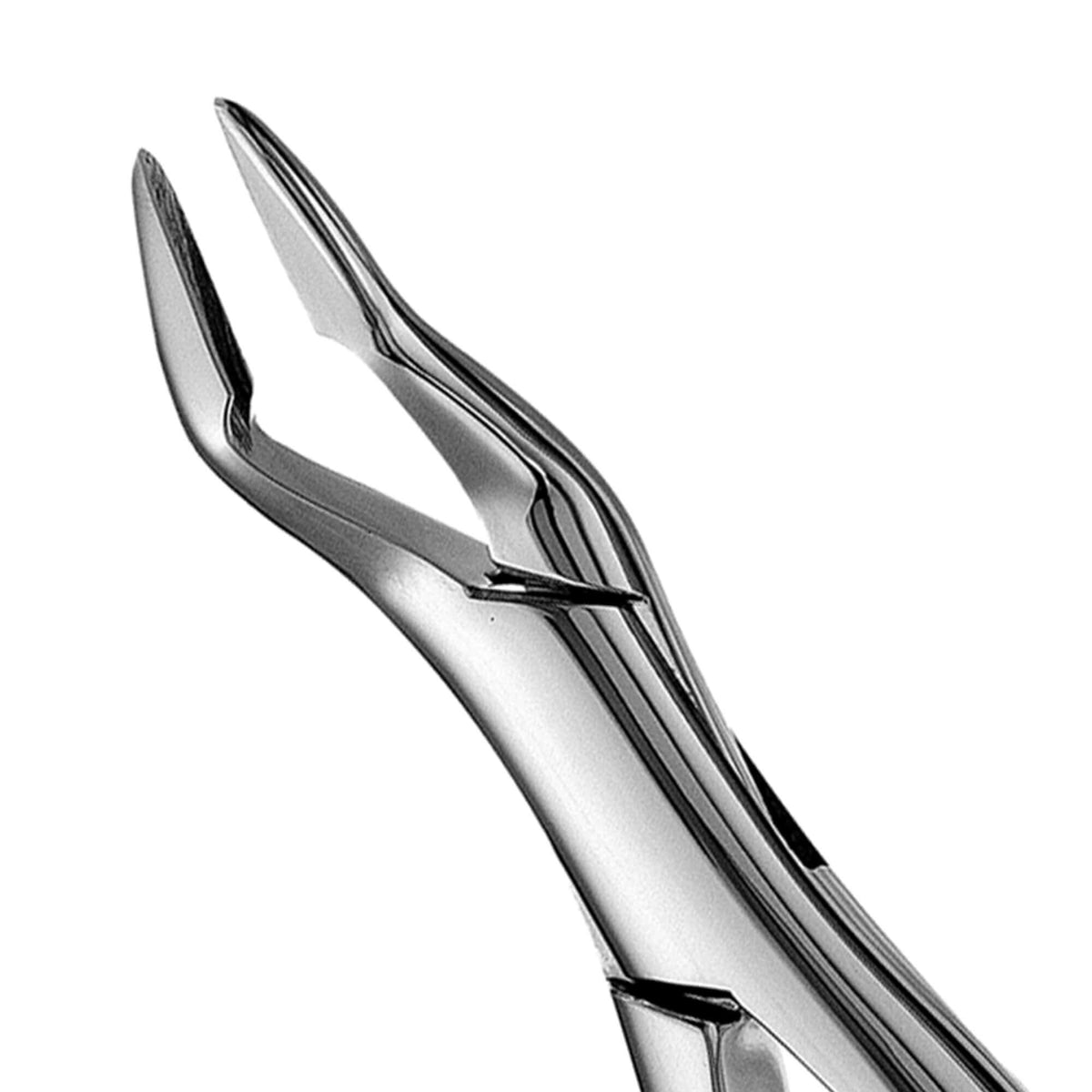 Parmly Alveolar Forceps - 32A, Slim Beaks