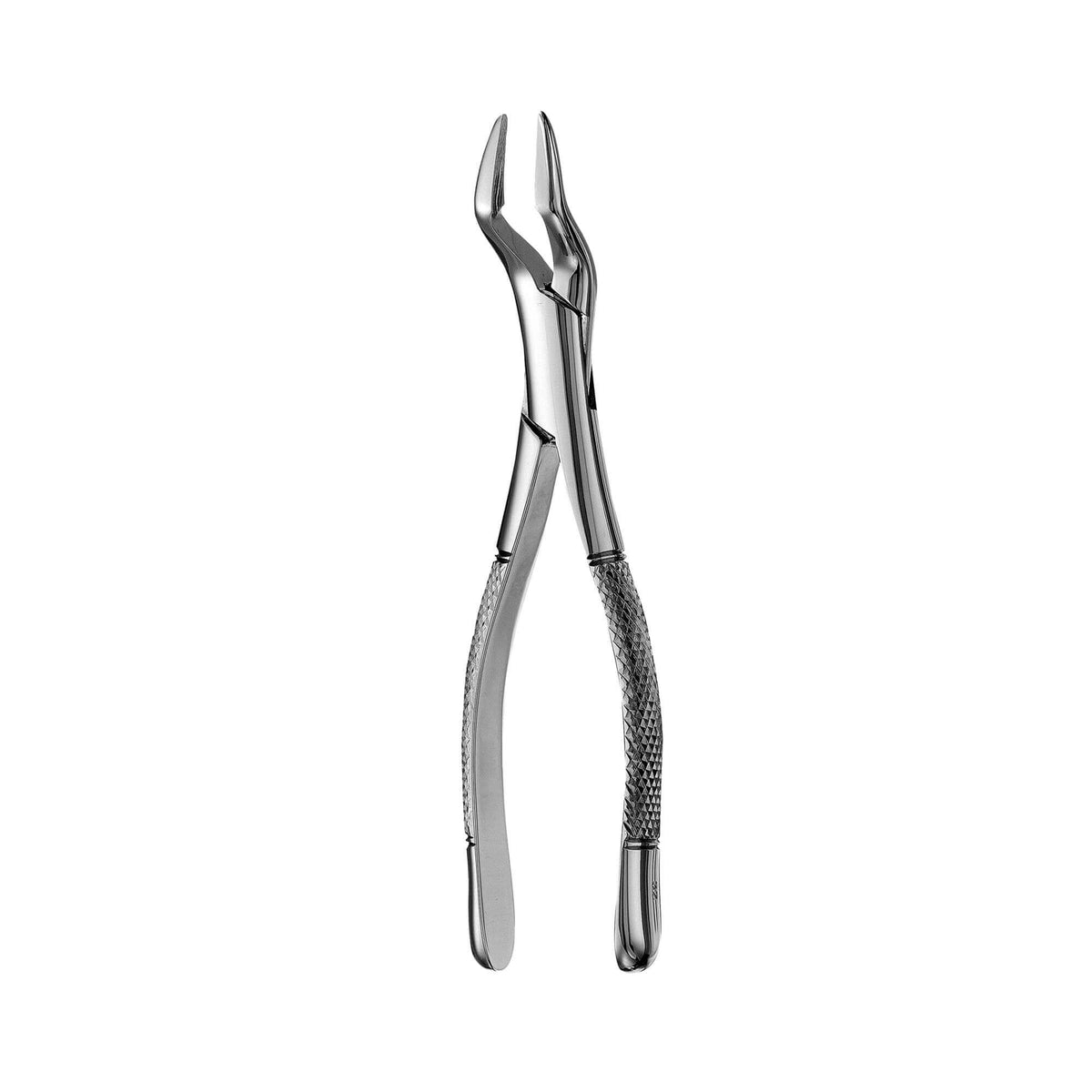 Parmly Alveolar Forceps - 32