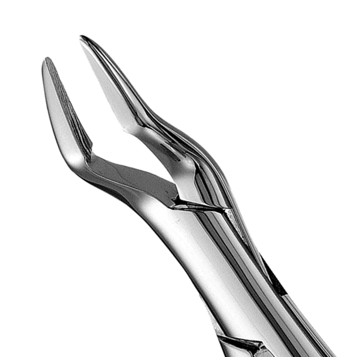 Parmly Alveolar Forceps - 32