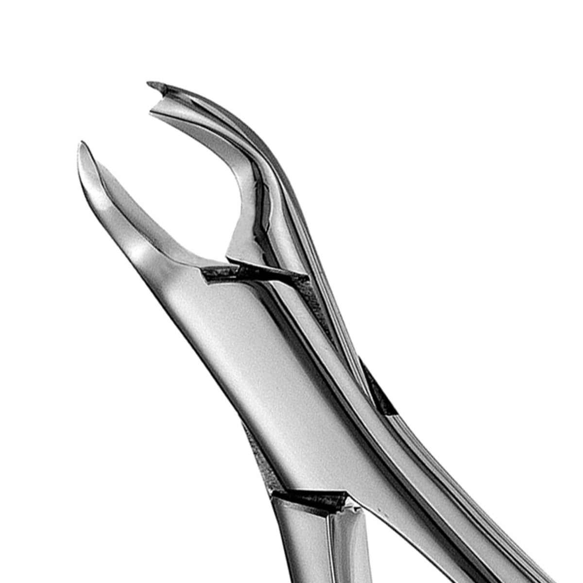 Cook Forceps - 89