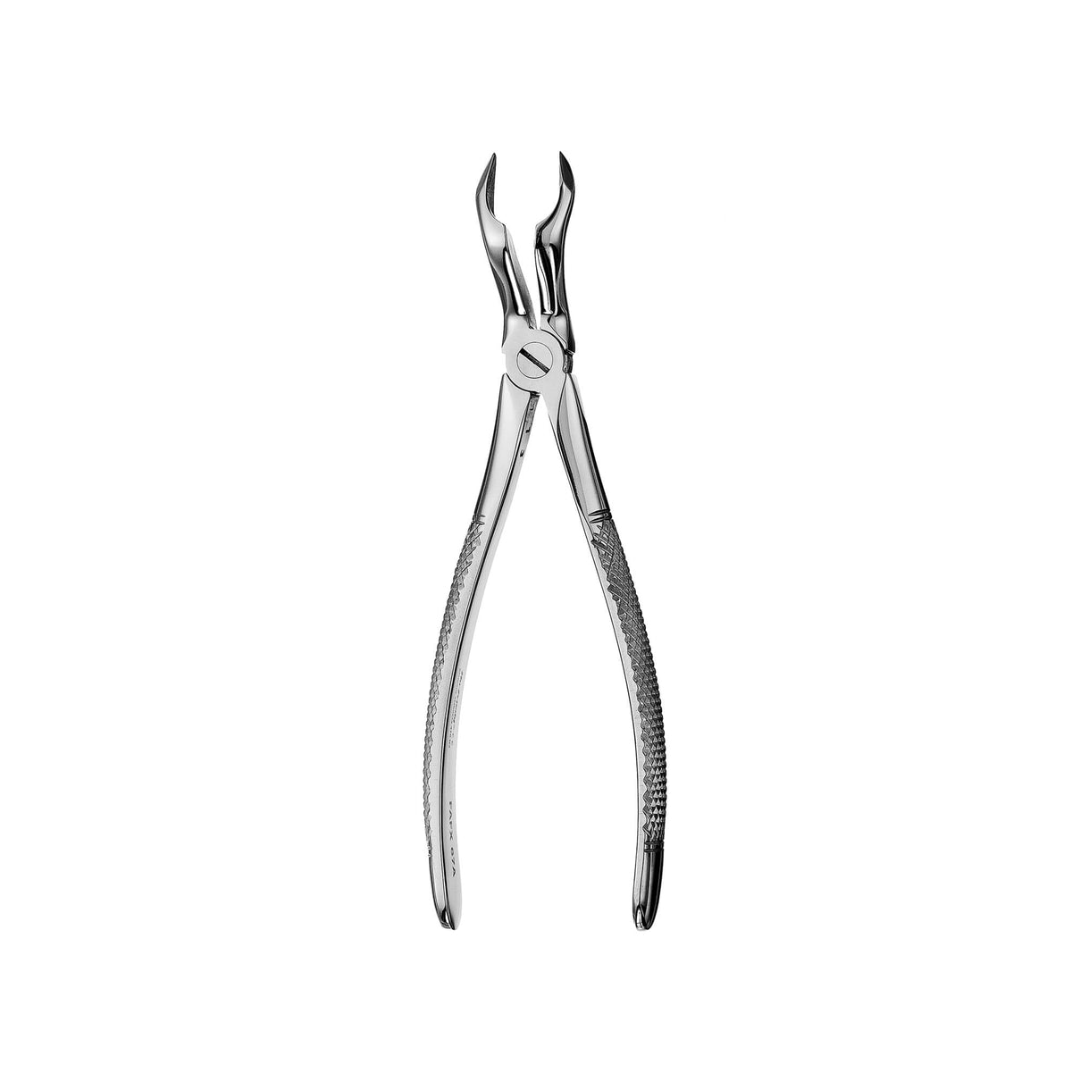 European Style Apical Forceps - 67A
