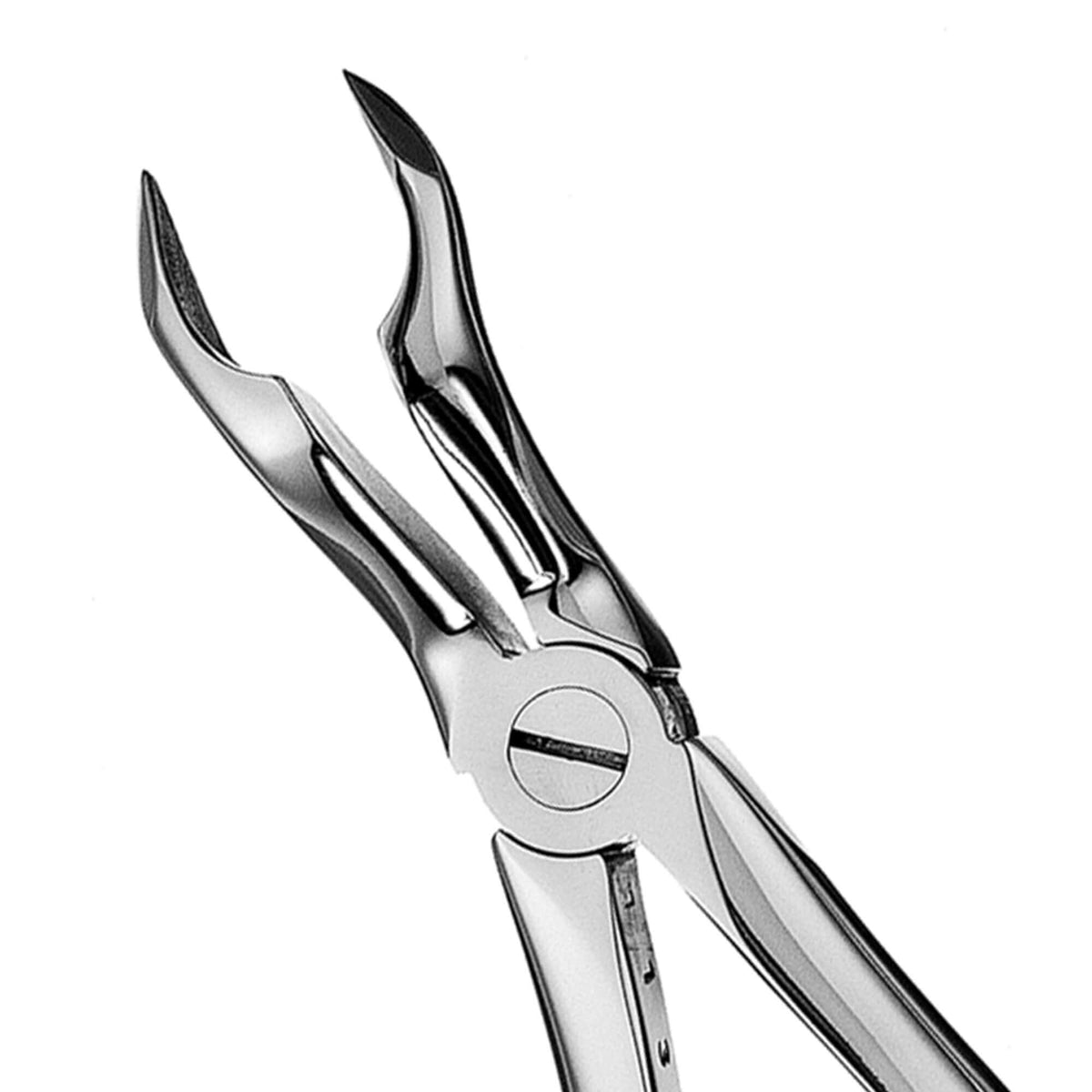 European Style Apical Forceps - 67A