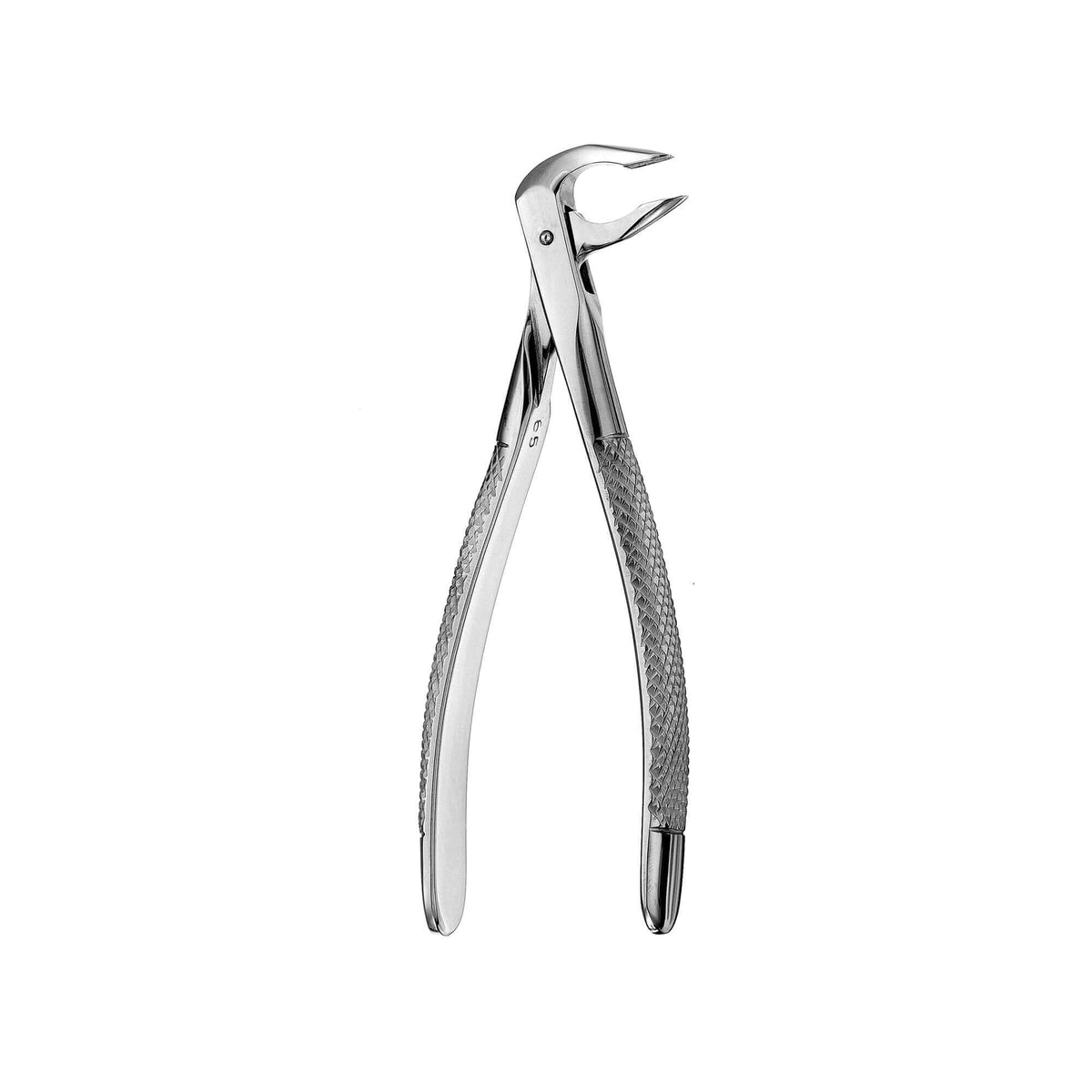 European Style Apical Forceps - 74N