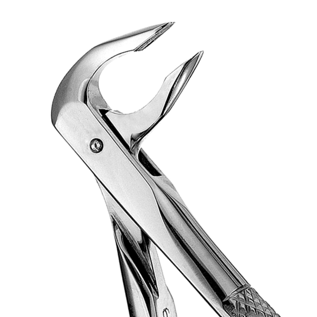 European Style Apical Forceps - 74N