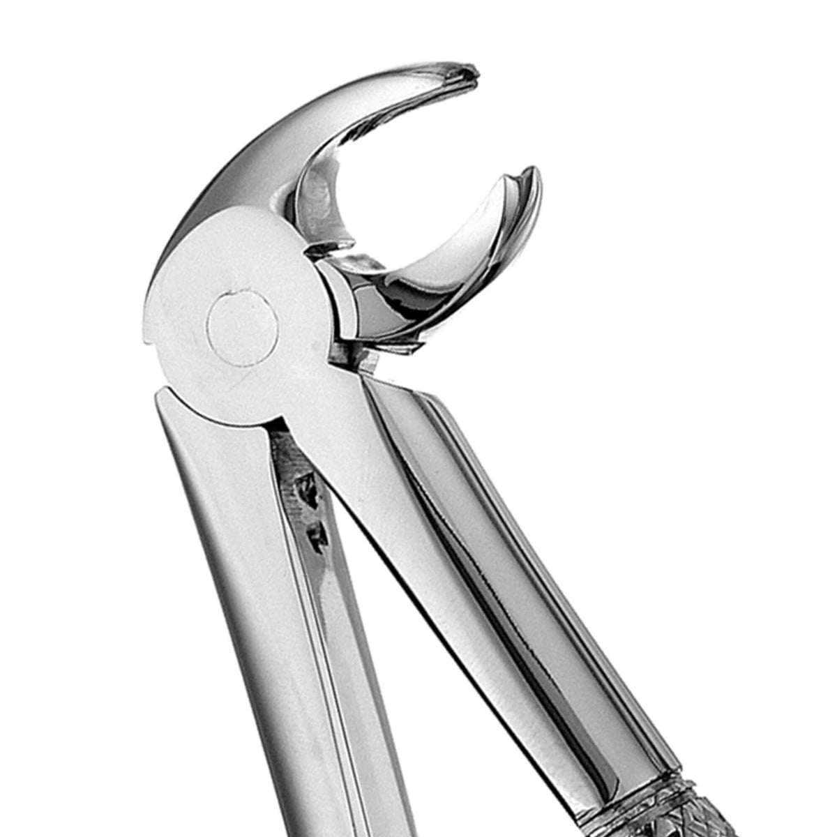 Mead Forceps - MD4, Serrated