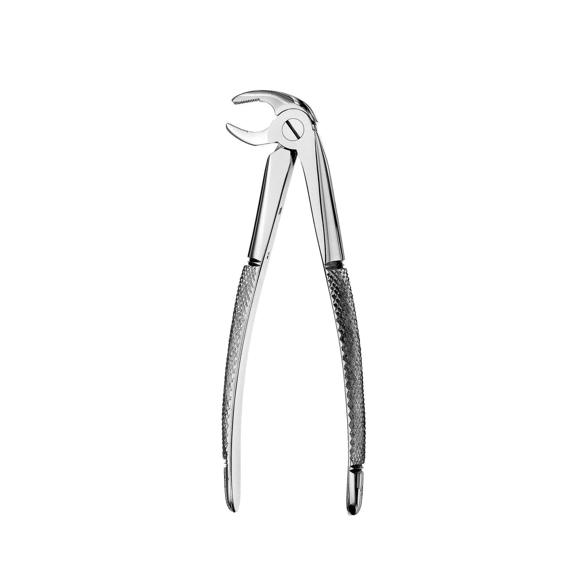 European Style Forceps - 13