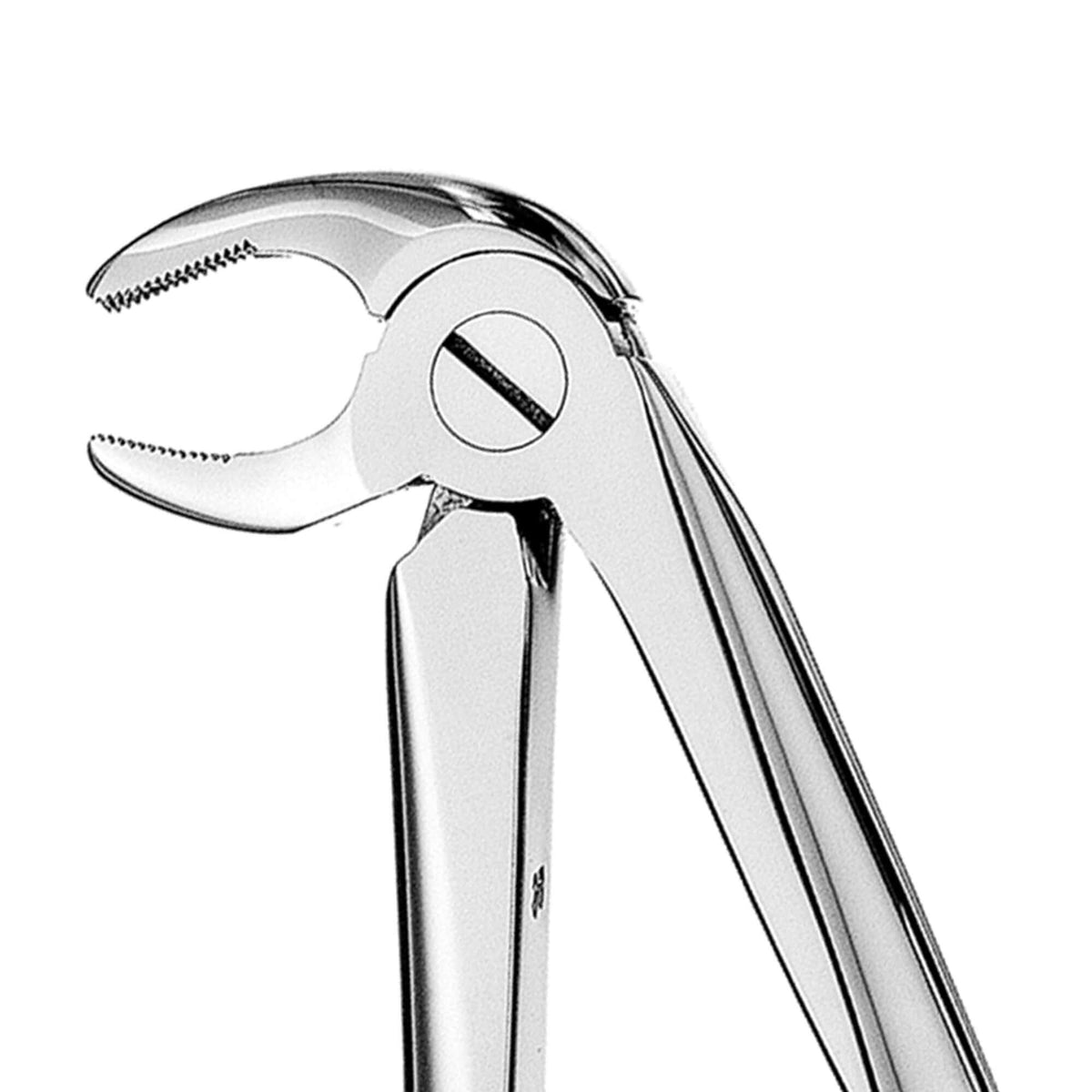 European Style Forceps - 13
