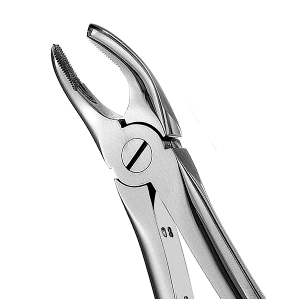 European Style Forceps-17