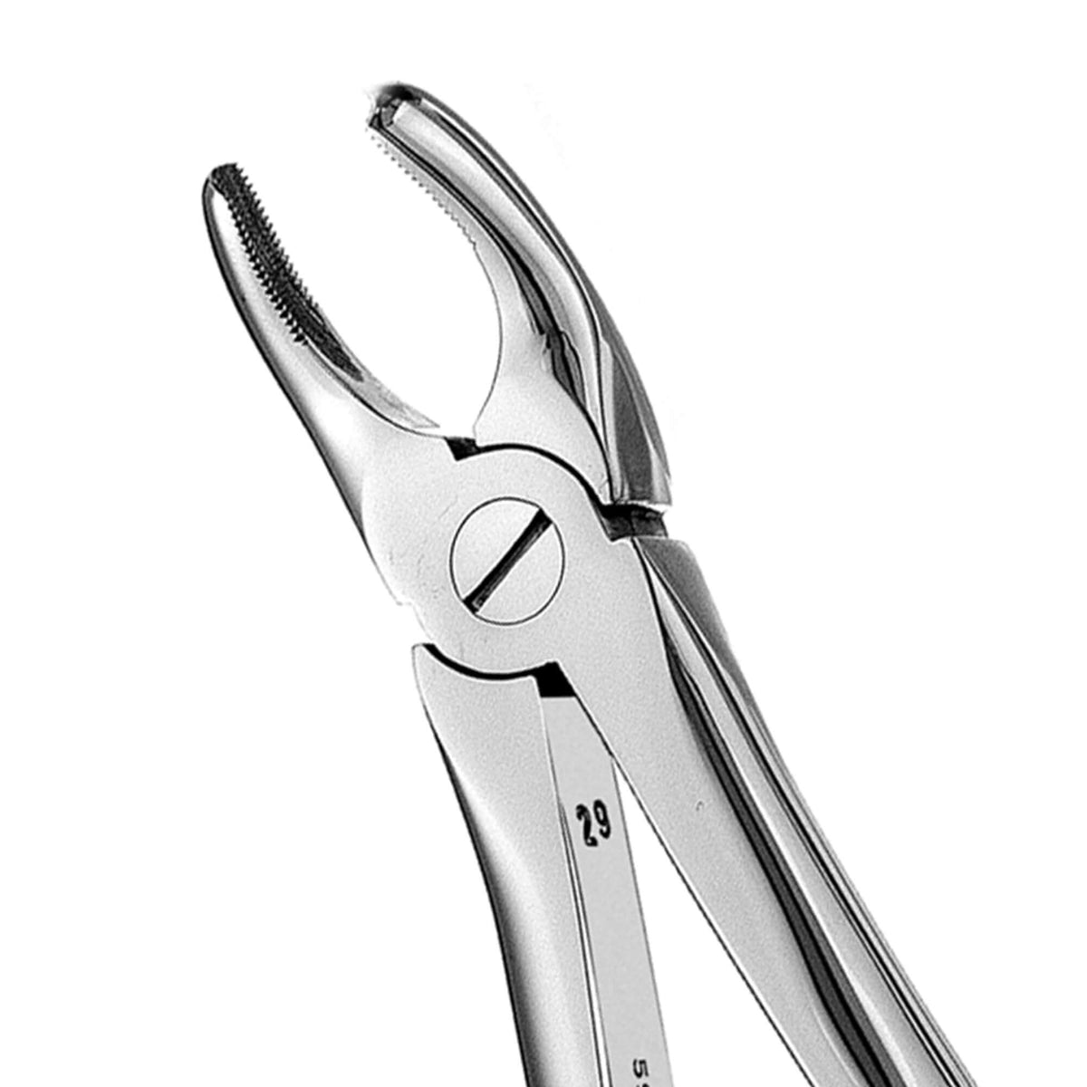 European Style Forceps-18