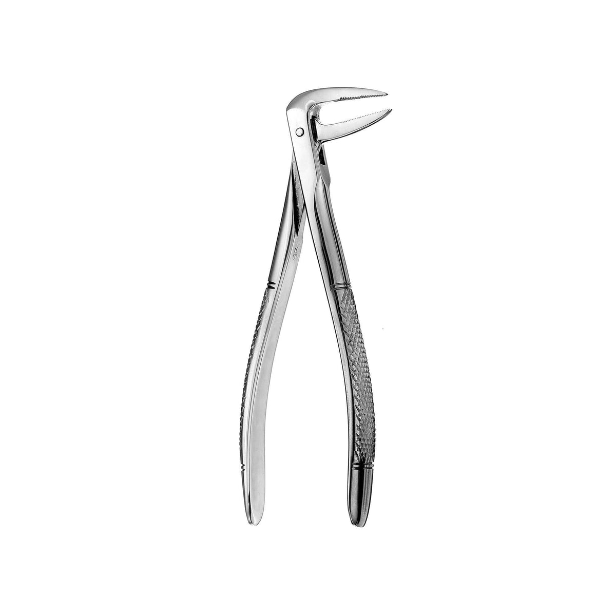 European Style Root Forceps - 233, Serrated