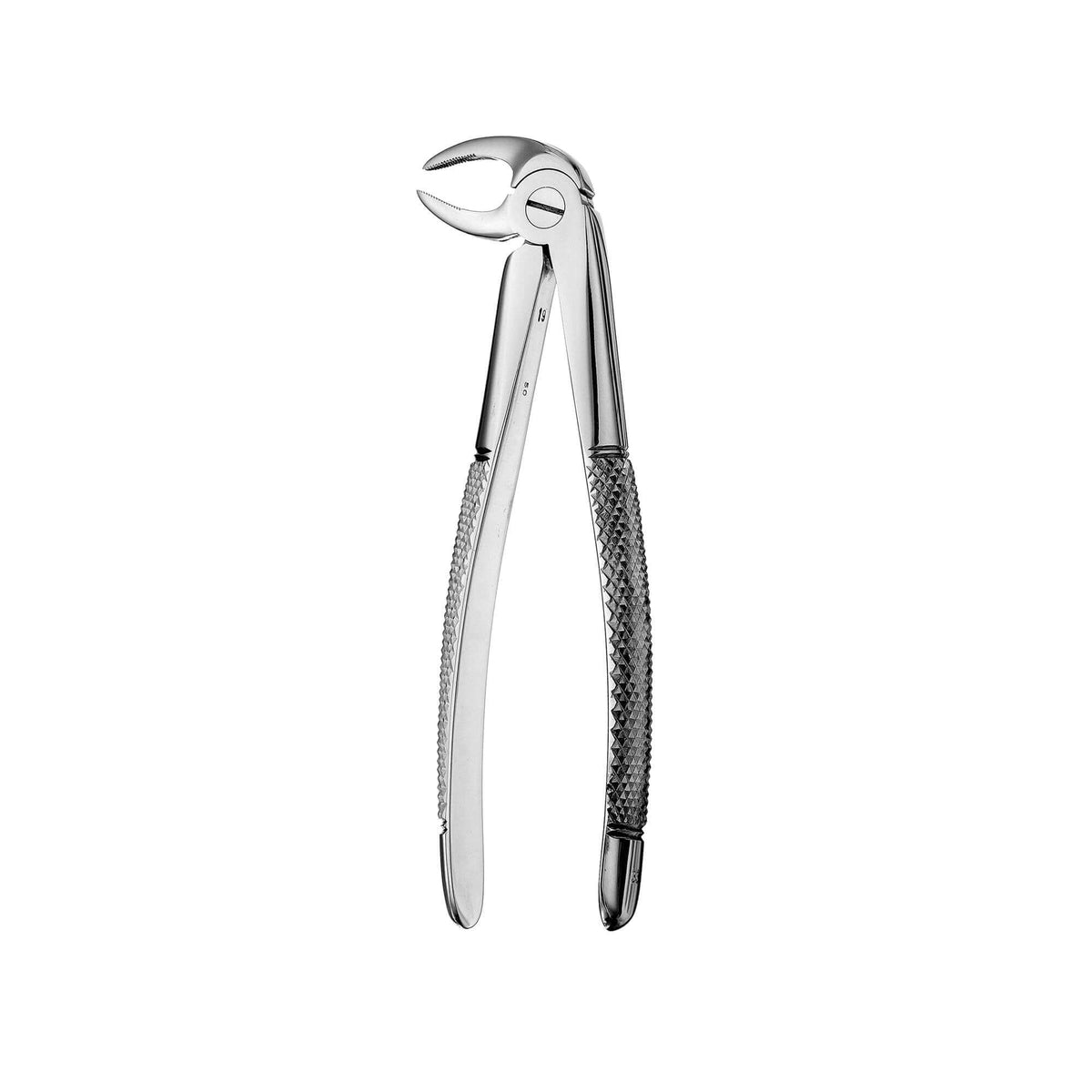 European Style Root Forceps - 33, Serrated
