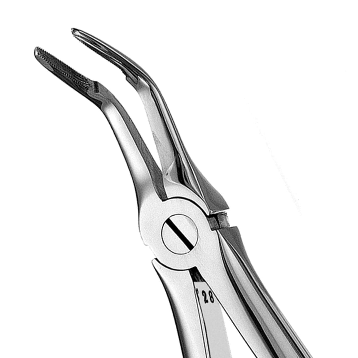 European Style Root Forceps - 46L, Serrated