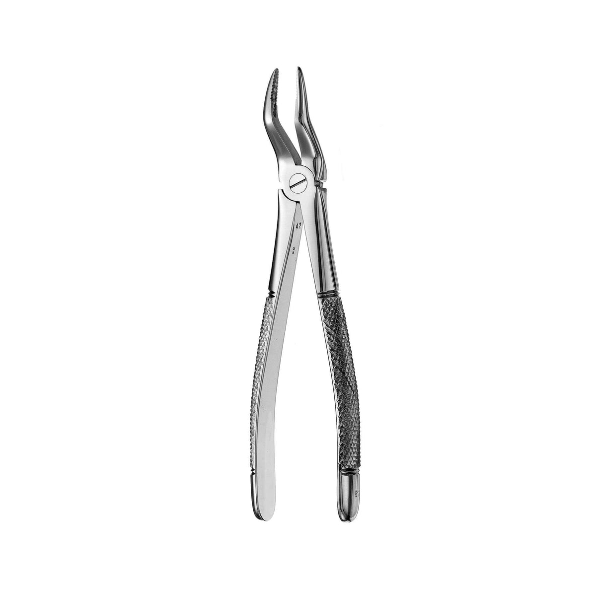 European Style Root Forceps - 51, Serrated