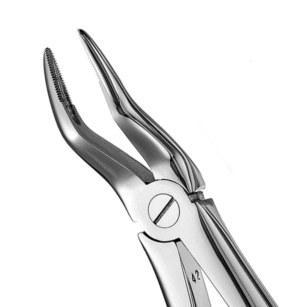 European Style Root Forceps - 51, Serrated