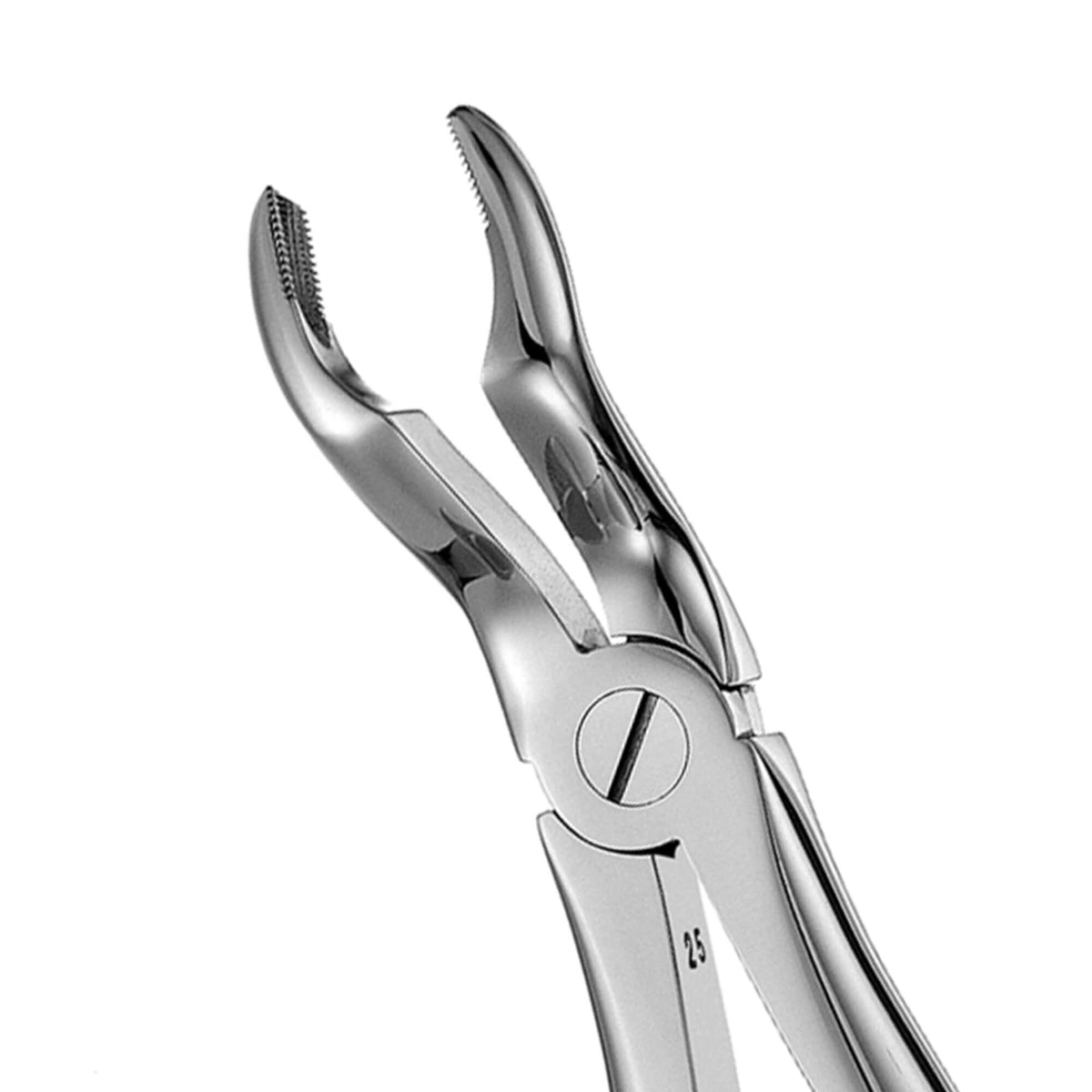 European Style Forceps - 567A, Serrated