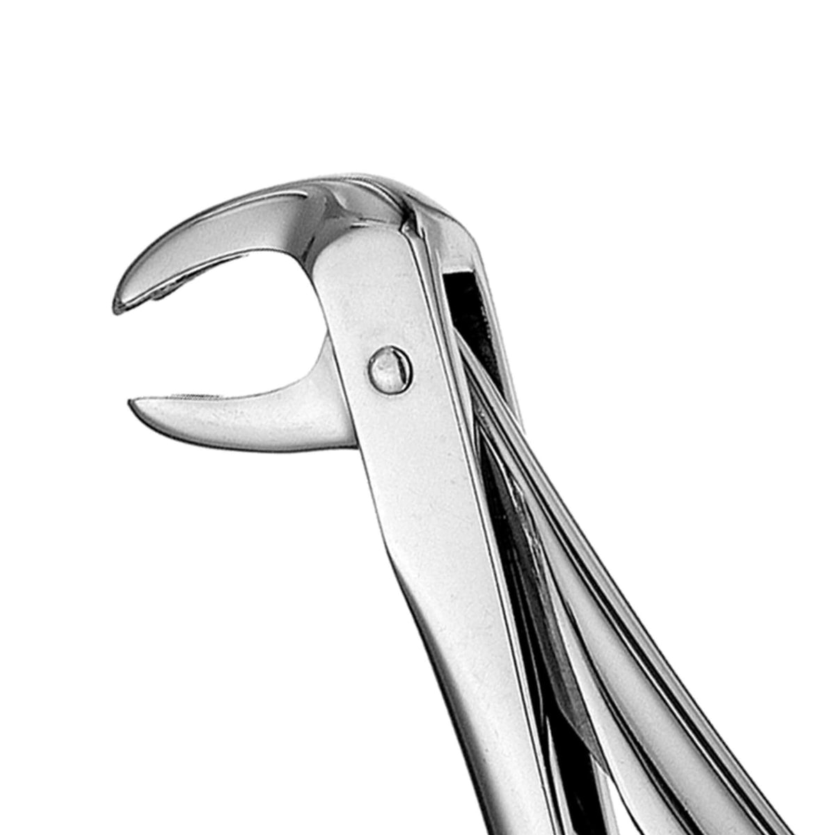European Style Forceps - 73, Serrated