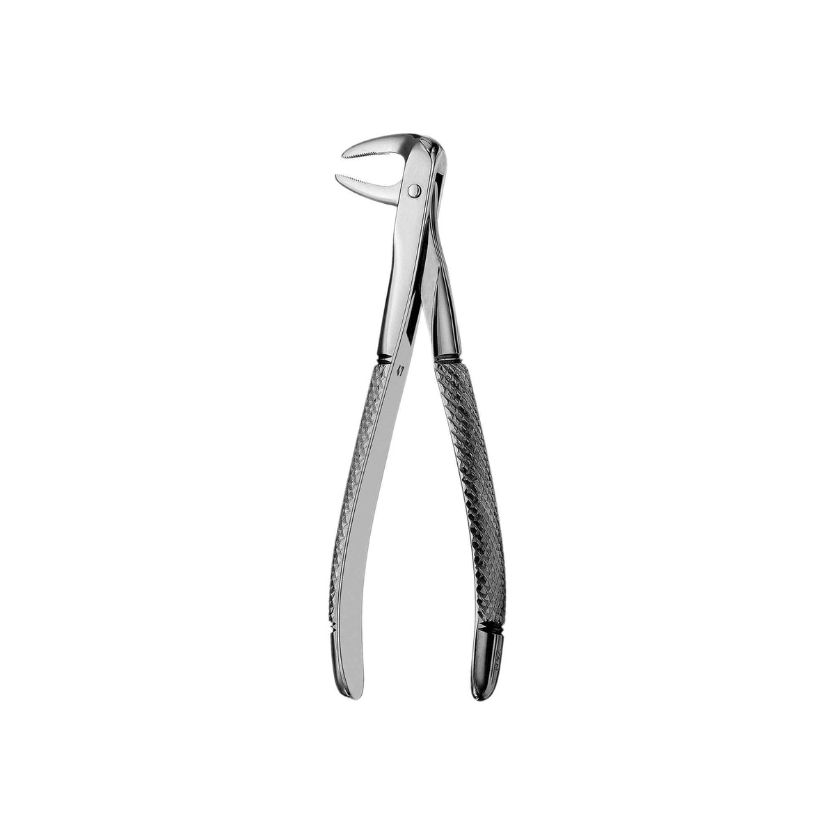 European Style Root Forceps - 74N, Serrated