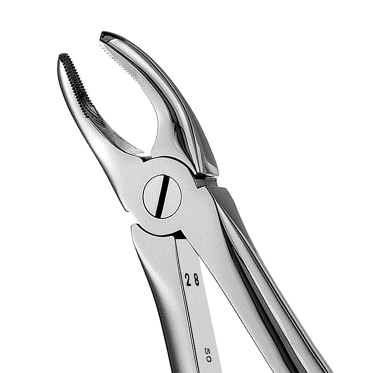 European Style Forceps - 7
