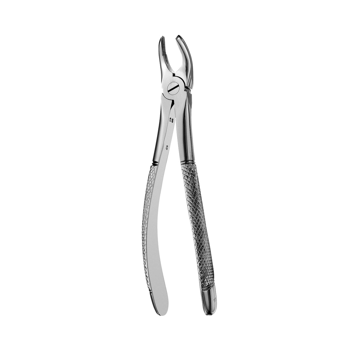 European Style Forceps-17